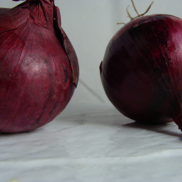 Oignon rouge breton bio- Du Panier à l'Assiette