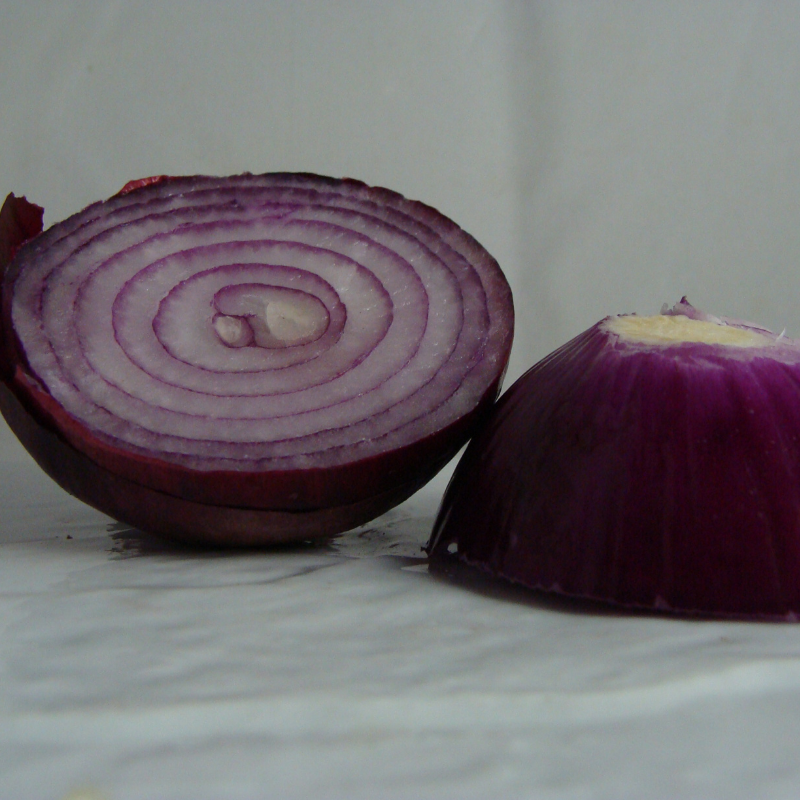 Oignon rouge breton bio- Du Panier à l'Assiette Oignon rouge breton bio- Du Panier à l'Assiette