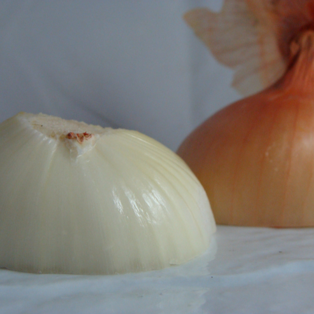 Oignon bio- Du Panier à l'Assiette