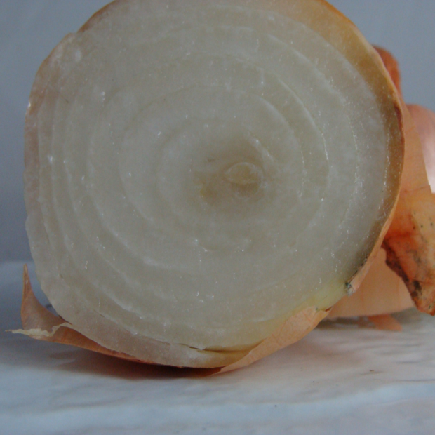 Oignon bio- Du Panier à l'Assiette