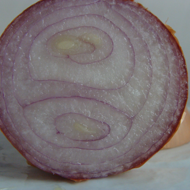 Oignon rose breton bio- Du Panier à l'Assiette