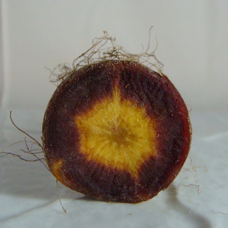 carotte non lavée bio- Du Panier à l'Assiette