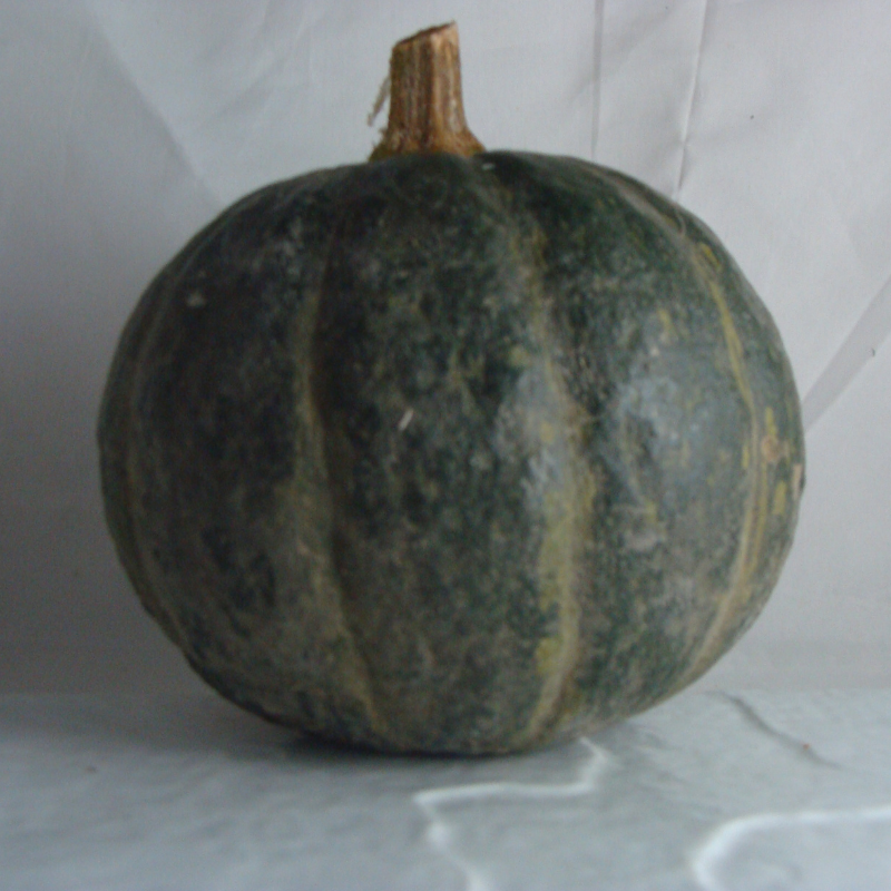 Potimarron Vert bio- Du Panier &agrave; l'Assiette