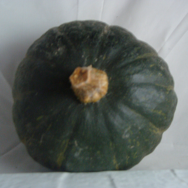 Potimarron Vert bio- Du Panier &agrave; l'Assiette