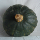 Potimarron Vert bio- Du Panier &agrave; l'Assiette