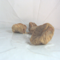 Figue S&eacute;ch&eacute;e Baglama x 100g
