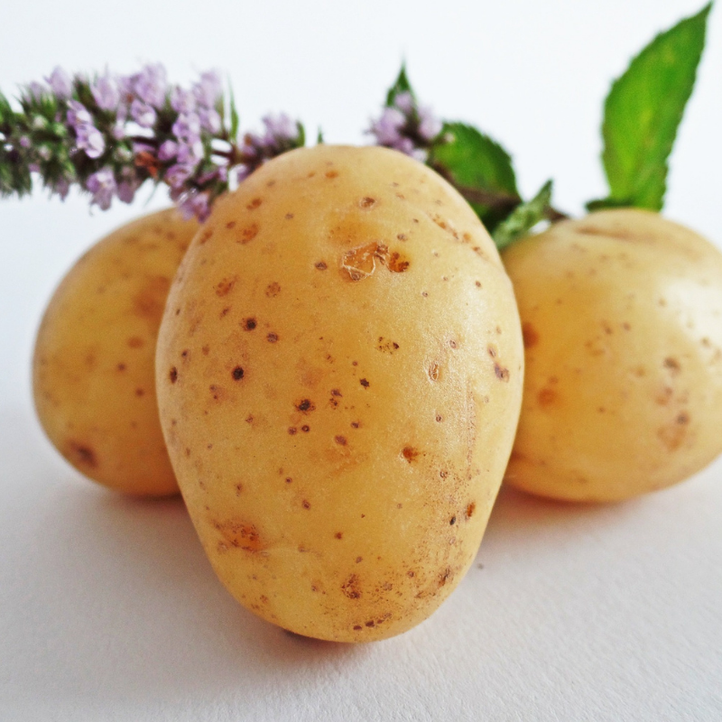 Pomme de terre bio- Du Panier &agrave; l'Assiette