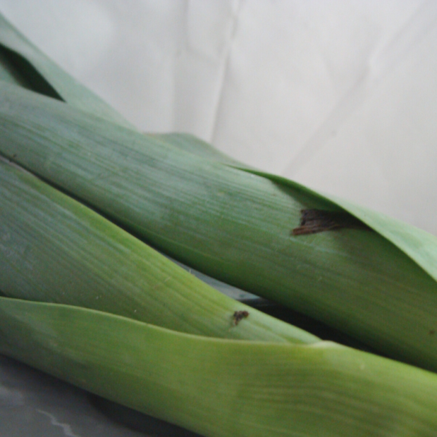 poireau bio- Du Panier à l'Assiette