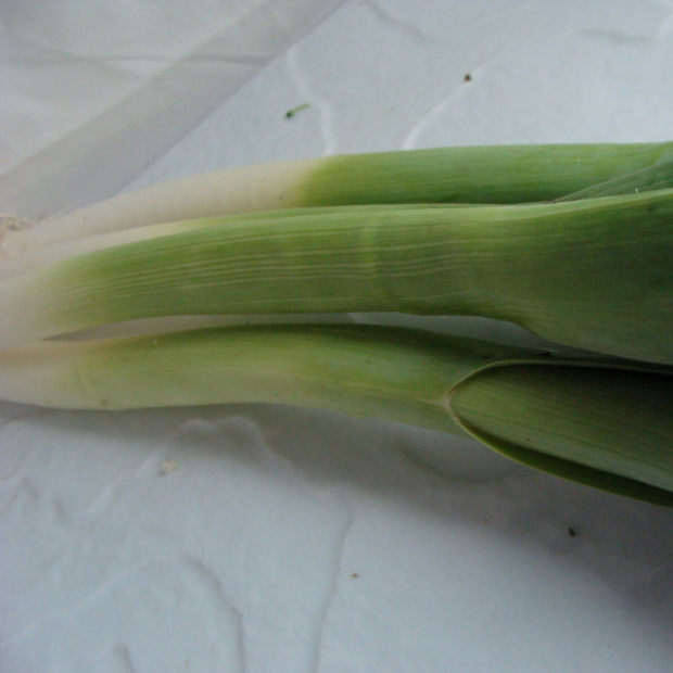 poireau bio- Du Panier à l'Assiette