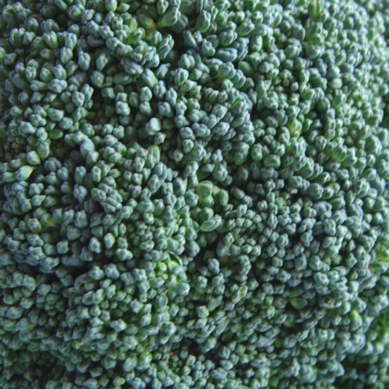 chou brocoli breton bio- Du Panier à l'Assiette chou brocoli breton bio- Du Panier à l'Assiette