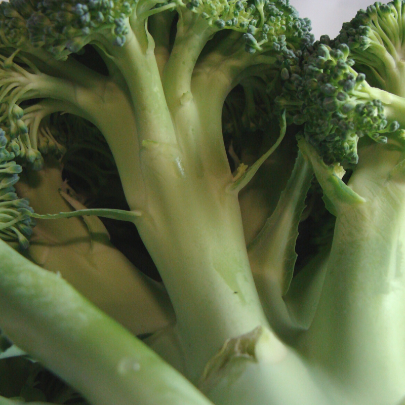 chou brocoli breton bio- Du Panier à l'Assiette chou brocoli breton bio- Du Panier à l'Assiette