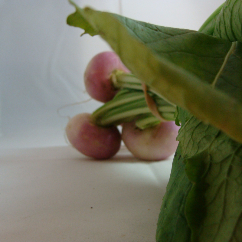navet botte bio- Du Panier à l'Assiette navet botte bio- Du Panier à l'Assiette