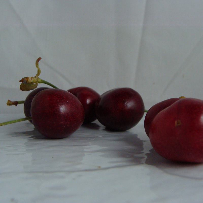 Cerise bio- Du Panier &agrave; l'Assiette