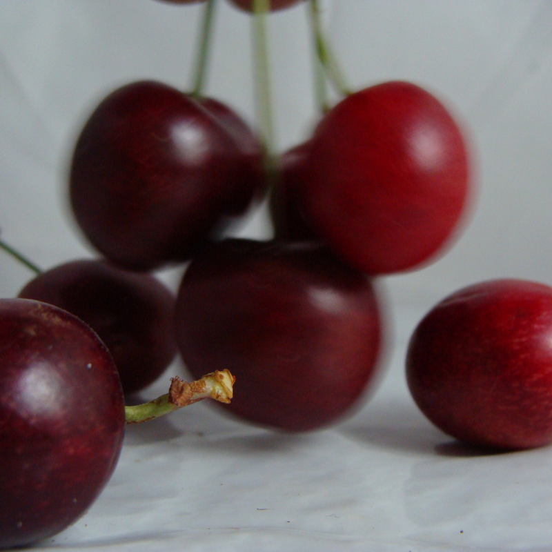 Cerise bio- Du Panier &agrave; l'Assiette