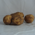 Pomme de terre bio- Du Panier &agrave; l'Assiette