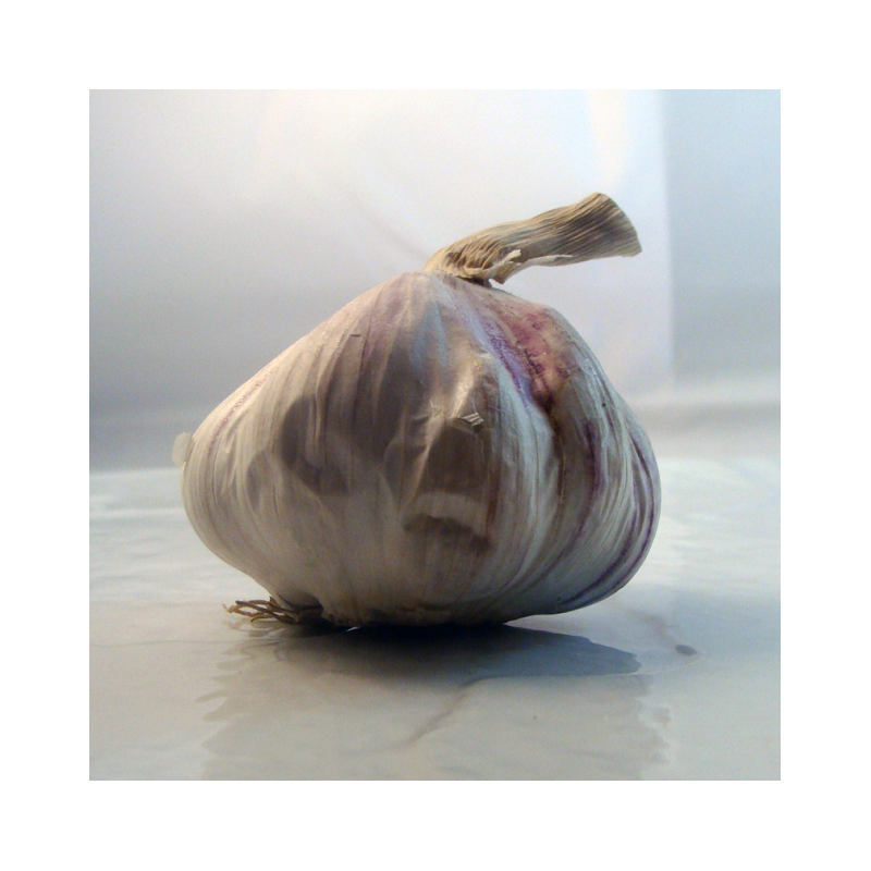 Ail français bio- Du Panier à l'Assiette Ail français bio- Du Panier à l'Assiette