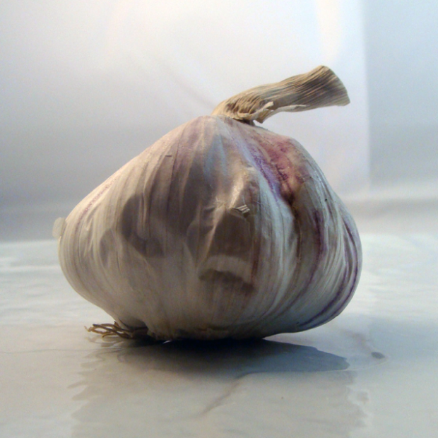 Ail français bio- Du Panier à l'Assiette