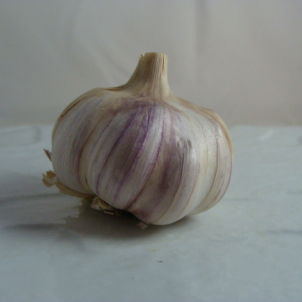 Ail français bio- Du Panier à l'Assiette