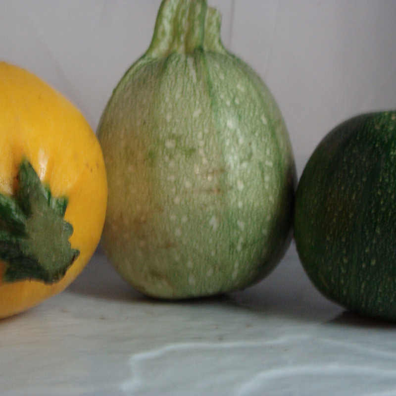 courgette bio- Du Panier &agrave; l'Assiette