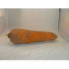 carotte lavée bio- Du Panier à l'Assiette