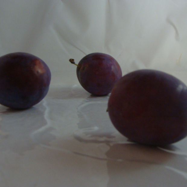 Prune Bio - Du Panier à l'Assiette