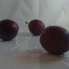 Prune Bio - Du Panier &agrave; l'Assiette