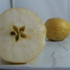 Pomme Lafayette Bio - Du Panier à l'Assiette Pomme Lafayette Bio - Du Panier à l'Assiette