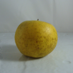 Pomme Lafayette x 500g