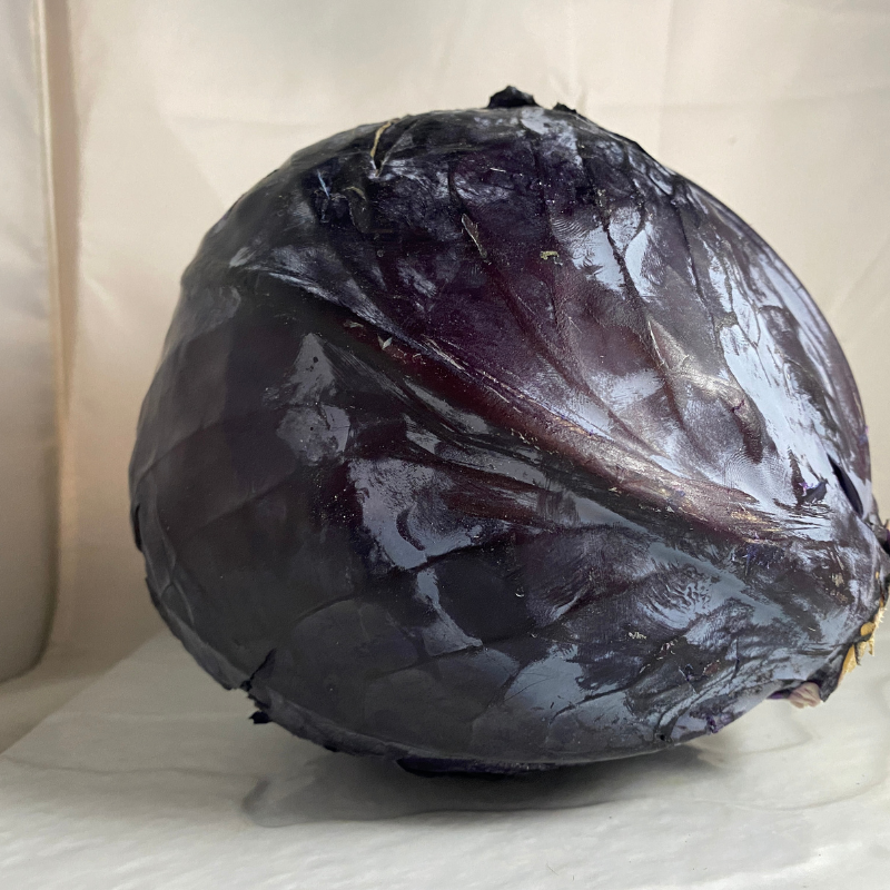 chou rouge breton bio- Du Panier &agrave; l'Assiette