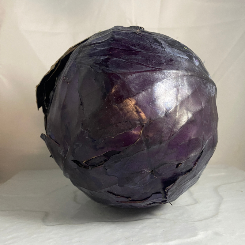 chou rouge breton bio- Du Panier &agrave; l'Assiette