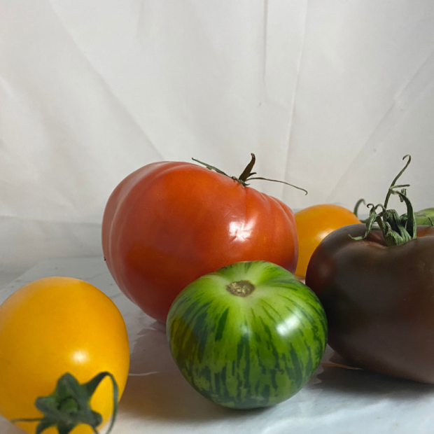 tomate bio- Du Panier à l'Assiette