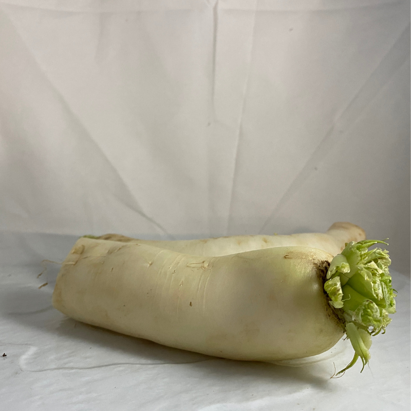 radis Daïkon bio- Du Panier à l'Assiette radis Daïkon bio- Du Panier à l'Assiette