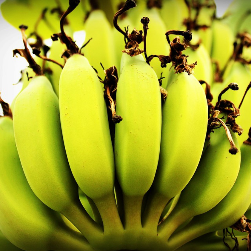 Banane Bio - Du Panier &agrave; l'Assiette