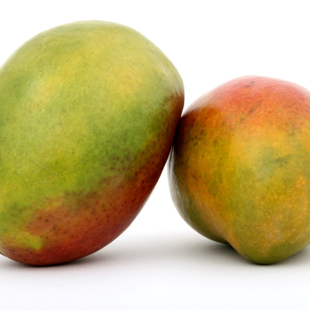 Mangue Bio - Du Panier à l'Assiette