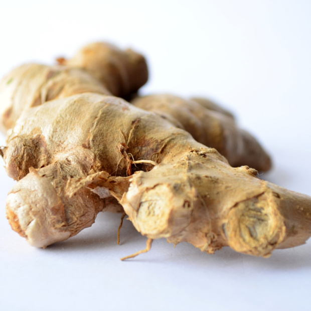 Gingembre Bio - Du Panier à l'Assiette