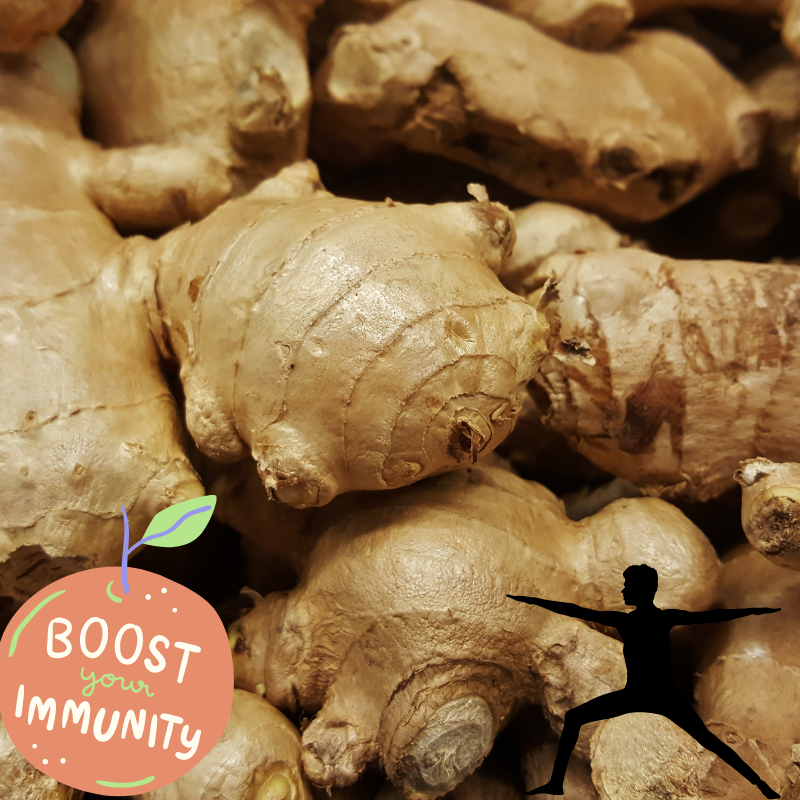 Gingembre Bio - Du Panier à l'Assiette Gingembre Bio - Du Panier à l'Assiette