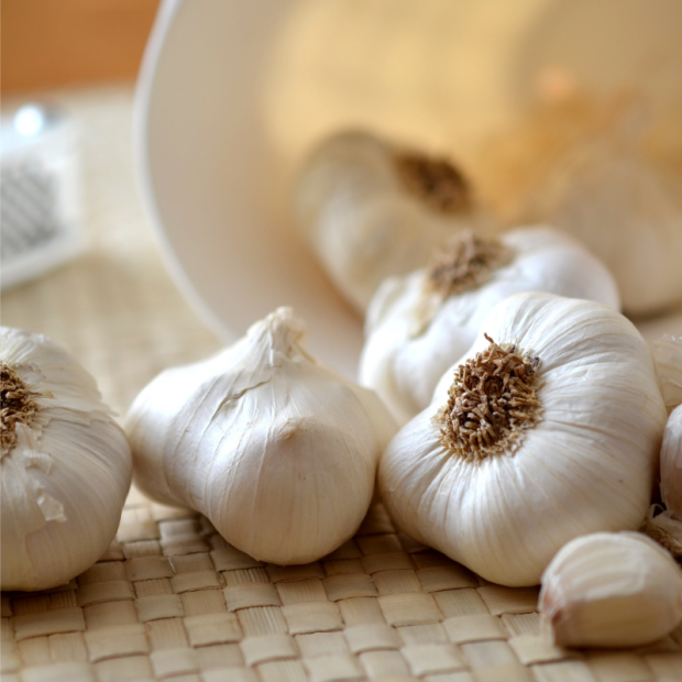 Ail français bio- Du Panier à l'Assiette