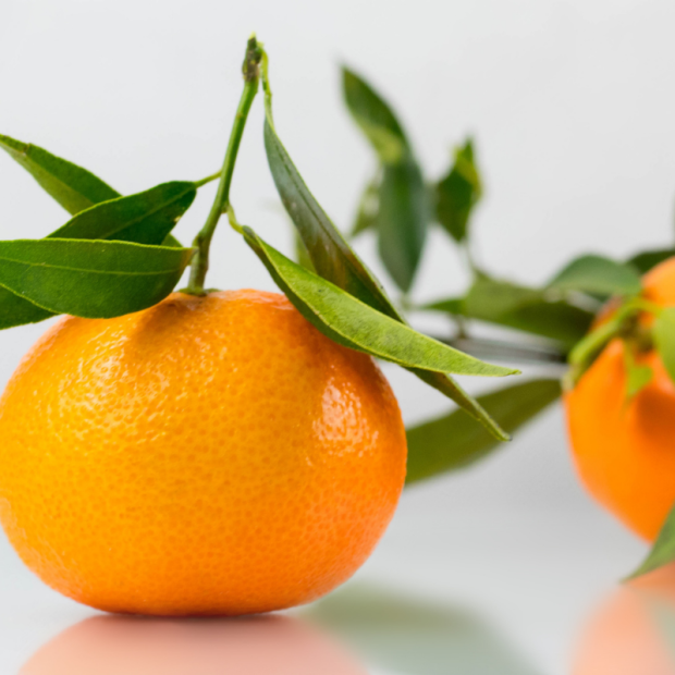 Clémentine Bio - Du Panier à l'Assiette