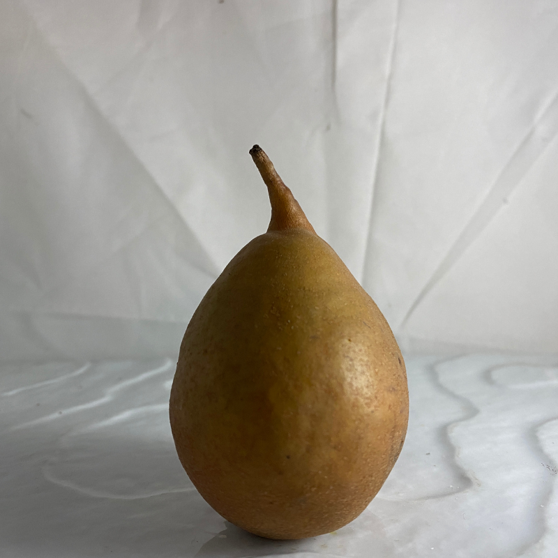 Poire Selena - Du Panier à l'Assiette