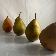 Poire Selena x 500g