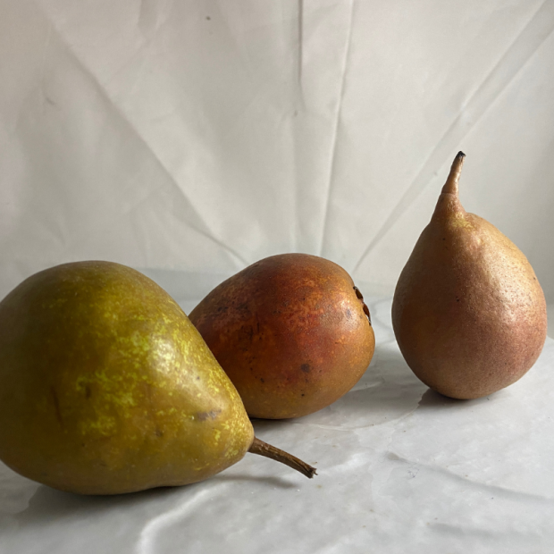 Poire Selena - Du Panier à l'Assiette