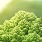 chou romanesco breton bio- Du Panier à l'Assiette