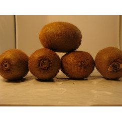 Kiwis lot de 5 + 1 gratuit