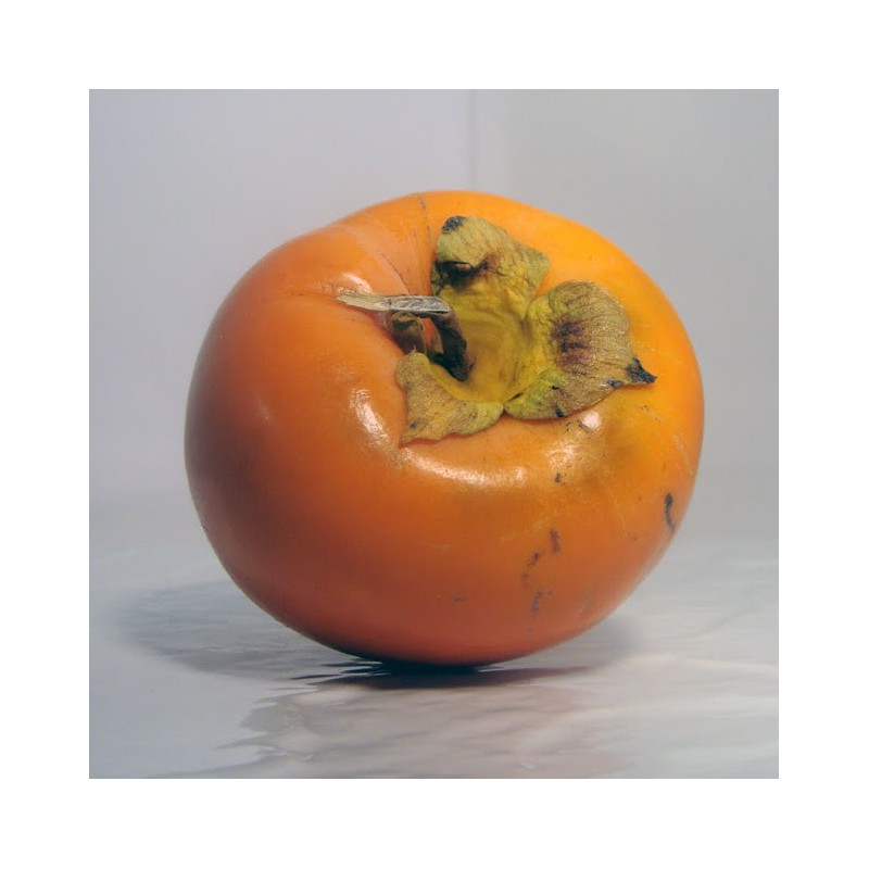 Kaki Bio - Du Panier à l'Assiette Kaki Bio - Du Panier à l'Assiette