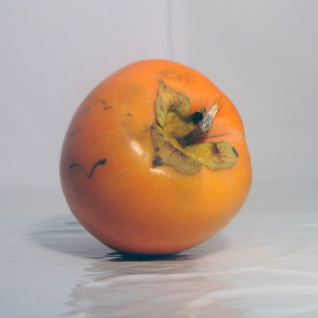 Kaki Bio - Du Panier à l'Assiette