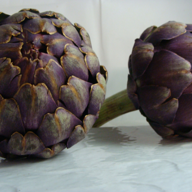 artichaut bio- Du Panier à l'Assiette