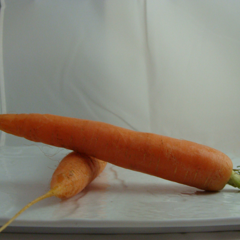 carotte lav&eacute;e bio- Du Panier &agrave; l'Assiette