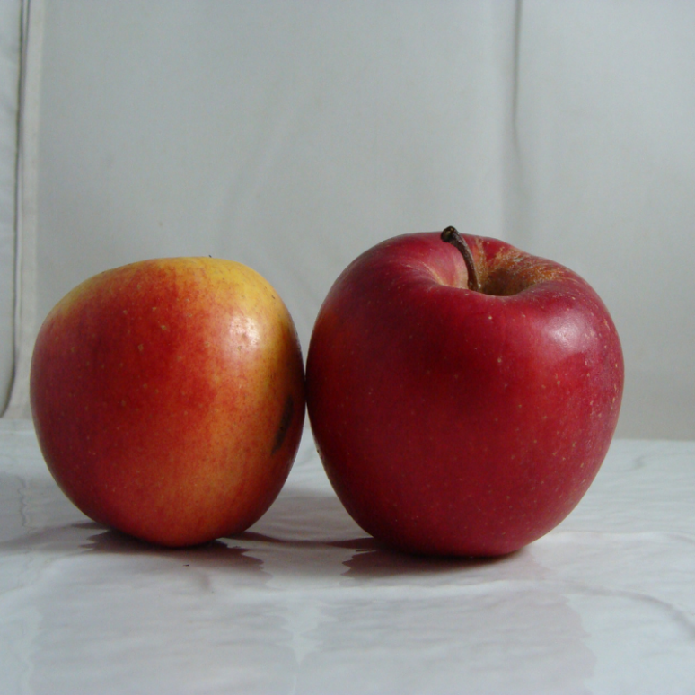 Pomme Gala Bio - Du Panier à l'Assiette