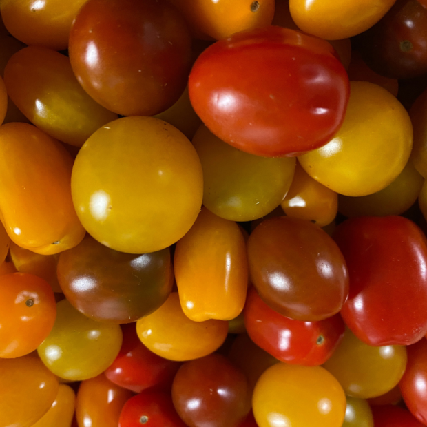 tomate cerise bio- Du Panier &agrave; l'Assiette