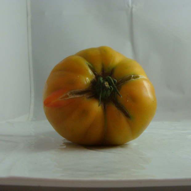 tomate bio- Du Panier &agrave; l'Assiette